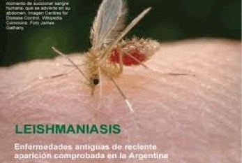 L – Leishmania Donovani Chagas