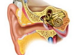 Un remedio para la pérdida auditiva