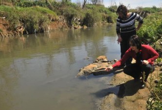 Encuentran estrógenos en el río Suquía