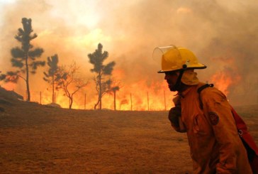 Estudio reciente revela que el 38% de los bomberos voluntarios de Córdoba sufre estrés laboral