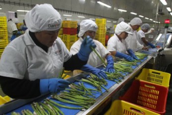 Perú: Piden eliminar regímenes laborales precarios en los sectores textil y agrario