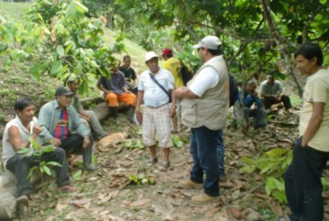 Perú: Promueven manejo integrado de plagas y enfermedades en el cultivo de cacao