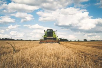 El sector agrario: principales riesgos y EPI