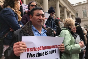 Trabajadores agrícolas de NY arrecian lucha por derecho a sindicalizarse