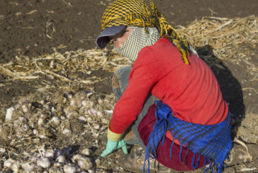OIT: El conflicto y el desplazamiento masivo aumentan el trabajo infantil