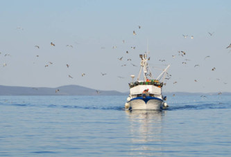 Actividad abierta de la Comisión de Pesca en Altura en Chubut