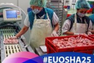 Las pequeñas y micro empresas lideran la lista de beneficiarios de las actividades de la EU-OSHA